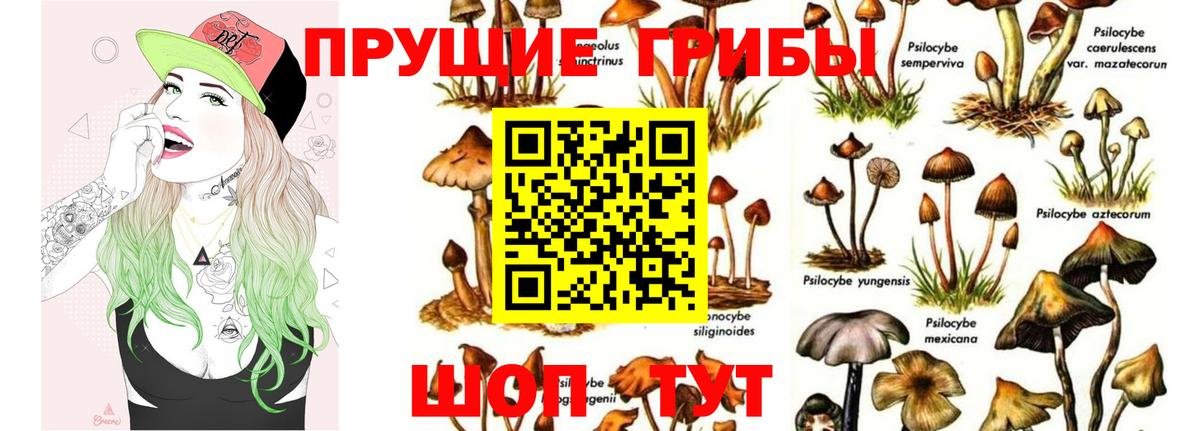 Людиново  Псилоцибиновые грибы мухоморы  купить   Галлюциногенные грибы MAGIC MUSHROOMS  Вход с VPN 